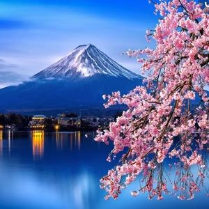 Meet your Posher, Jani